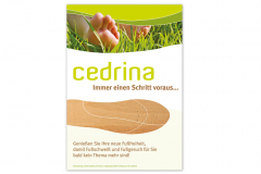CD_cedrina3